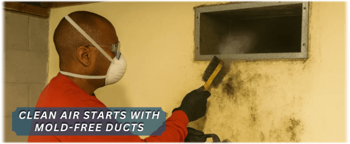 Air Duct Mold Removal in League City