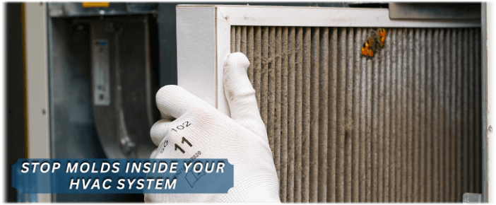 HVAC Mold Removal League City